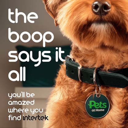 Closeup of cute dog wearing a tag labeled 'Pets at Home'